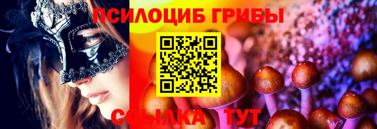 Псилоцибиновые грибы мицелий  Вход с VPN  Псилоцибиновые грибы MAGIC MUSHROOMS  Городец 
